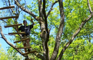  Curso independienle de aventuras en los árboles de Morvan 
